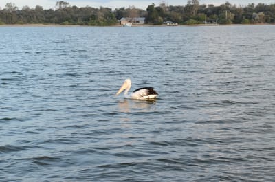 DSC_5891.JPG