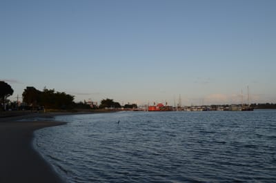 DSC_5893.JPG