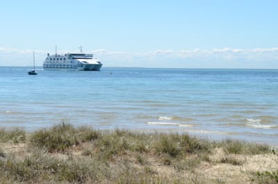 DSC_5900.JPG