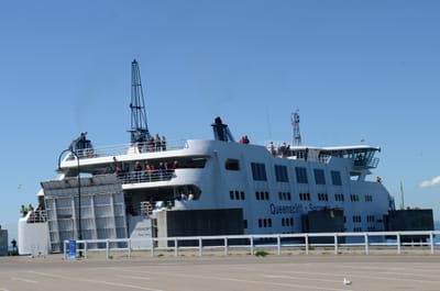 DSC_5901.JPG
