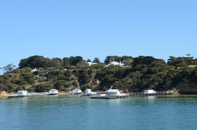 DSC_5904.JPG