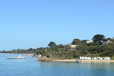 DSC_5907.JPG