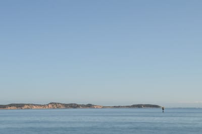DSC_5912.JPG