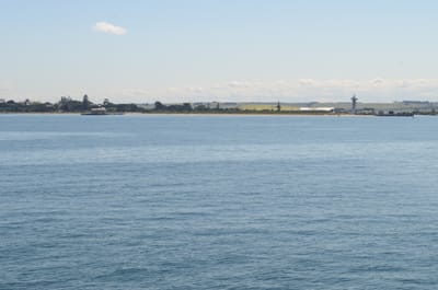 DSC_5917.JPG