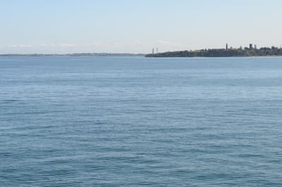 DSC_5918.JPG