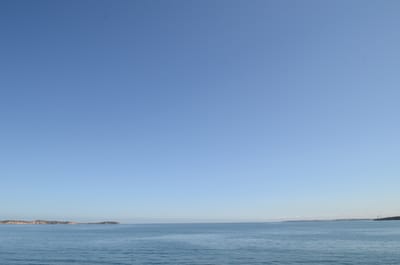 DSC_5919.JPG