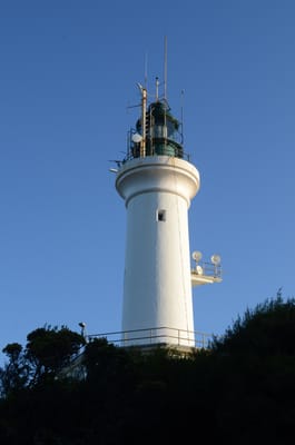 DSC_5937.JPG