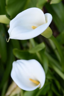 DSC_5944.JPG