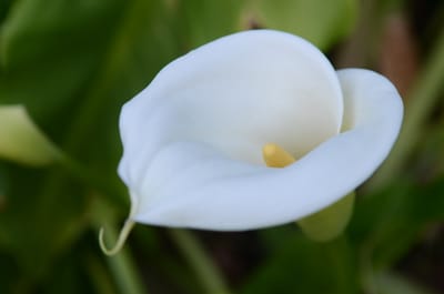 DSC_5945.JPG