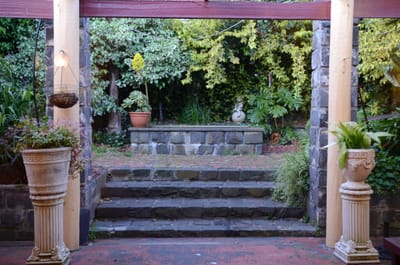 DSC_5964.JPG
