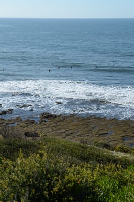 DSC_5979.JPG