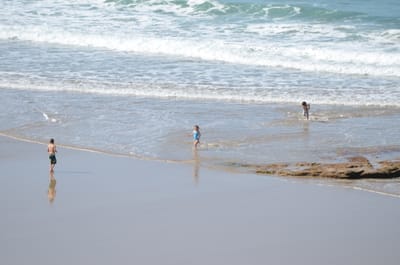 DSC_5982.JPG