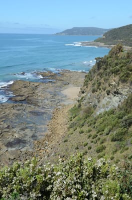 DSC_5984.JPG
