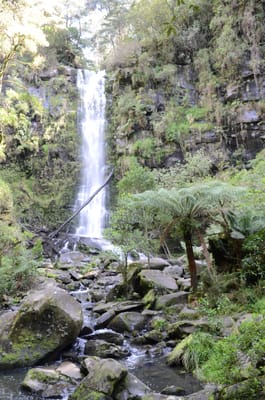 DSC_5987.JPG
