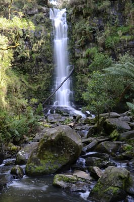DSC_5989.JPG
