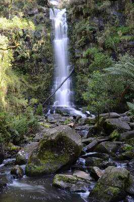 DSC_5990.JPG