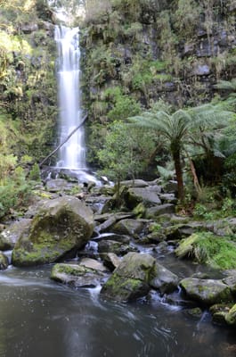 DSC_5992.JPG