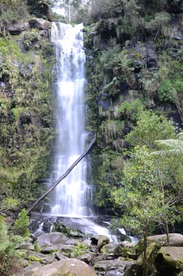 DSC_5996.JPG