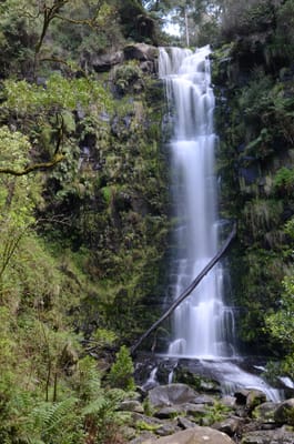DSC_5997.JPG