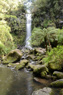 DSC_6005.JPG