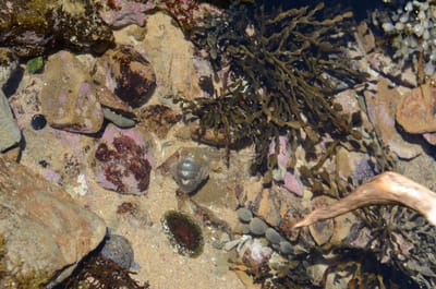 DSC_6014.JPG