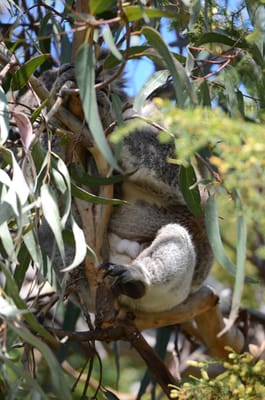 DSC_6018.JPG