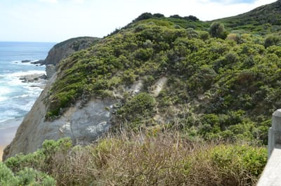 DSC_6045.JPG