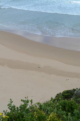 DSC_6048.JPG