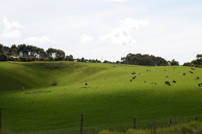 DSC_6051.JPG