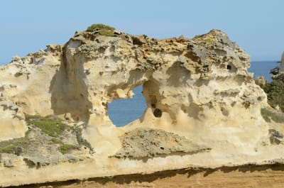 DSC_6091.JPG