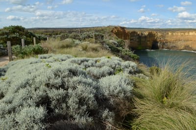 DSC_6096.JPG