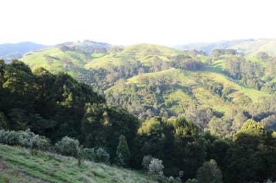 DSC_6111.JPG