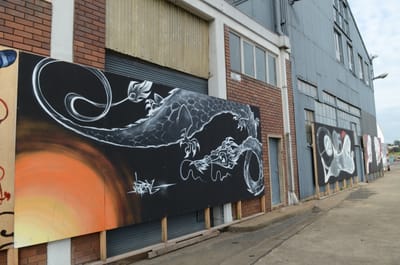DSC_8593.JPG