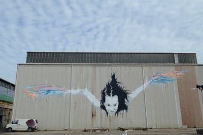 DSC_8596.JPG