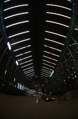 DSC_8712.JPG