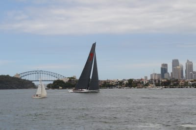 DSC_8954.JPG