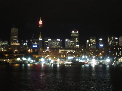 IMG_7355.JPG