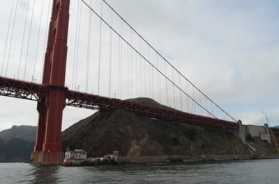 DSC_6686.JPG