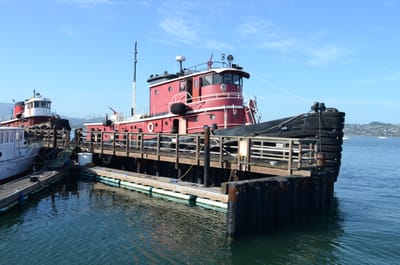 DSC_6690.JPG