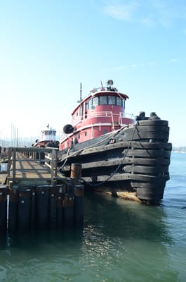 DSC_6691.JPG