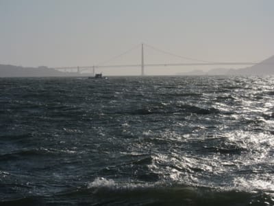 IMG_6268.JPG