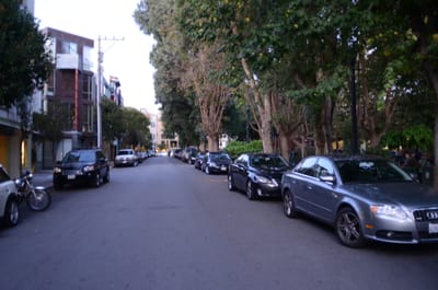 DSC_6721.JPG