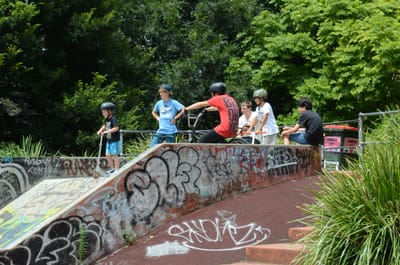 DSC_0313.JPG