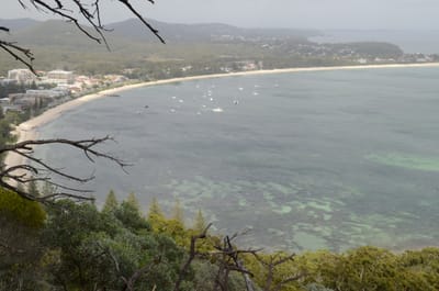 DSC_9817.JPG