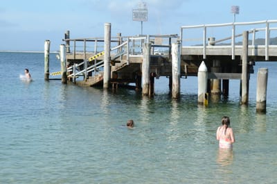 DSC_9855.JPG