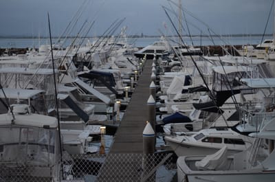 DSC_9889.JPG