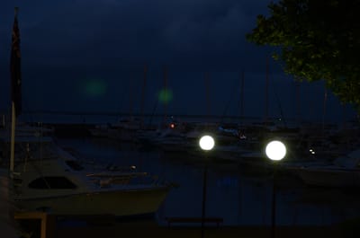 DSC_9892.JPG