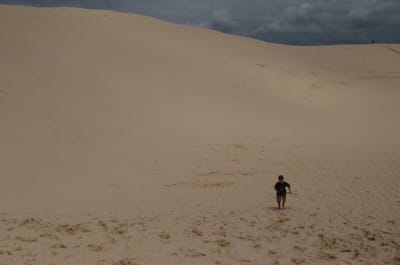 DSC_9906.JPG