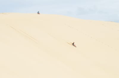 DSC_9909.JPG