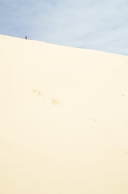 DSC_9914.JPG